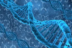未来哪些行业会与基因检测深度融合？