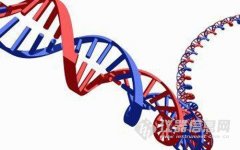 DNA的十大奇异事实，你知道几个?