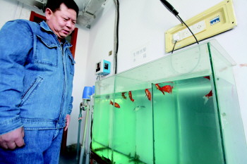青岛自来水需检测106种成分 靠鲤鱼验水质(图)