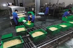 三部门：生产豆芽禁用“无根水” 安全性尚无定论