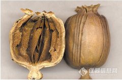 岛津应用：罂粟壳生物碱的检测方案
