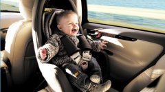 汽车儿童安全座椅团体标准发布实施