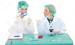 实验室内部审核可否履行实验室管理评审职能？